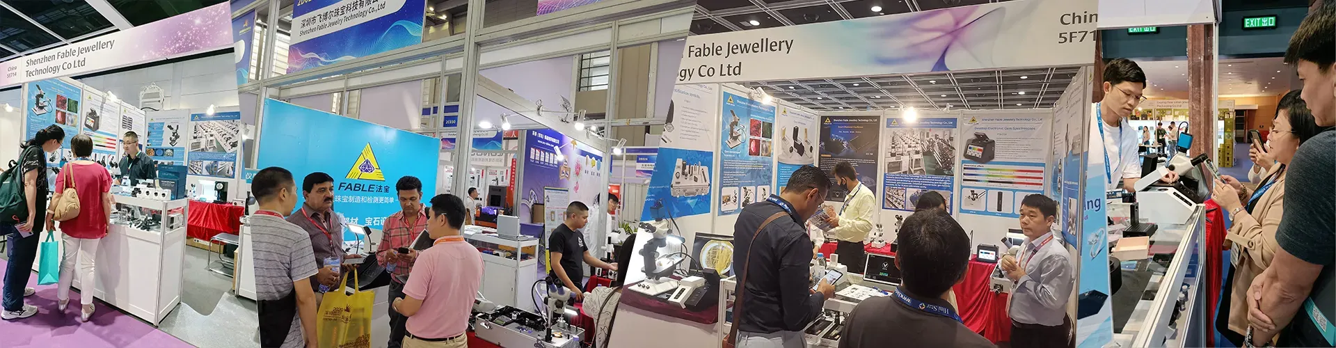 Shenzhen Fable Jewellery Technology Co., Ltd.